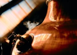 Large 02 02 26 DALMORE TEASER 2091