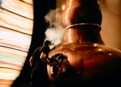 Large 02 02 26 DALMORE TEASER 2658