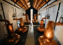 Large DALMORE REIMAGINATION STAGE 0 75 STILLS IMAGE 12