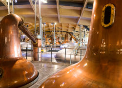 The Macallan Distillery 35