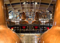 The Macallan Distillery 36