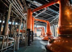 Mmexport1765867647673